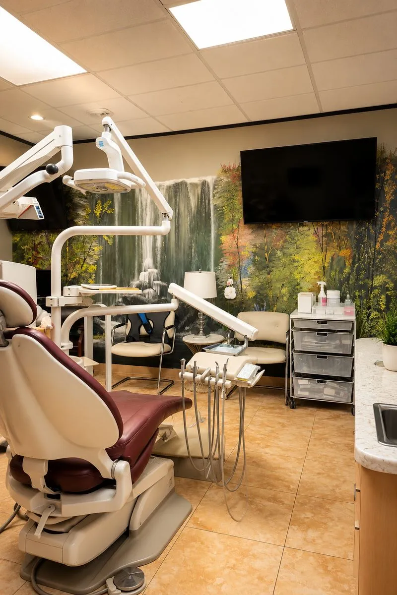 Treatment room with hand-painted waterfall mural — designed for longer cosmetic and restorative procedures